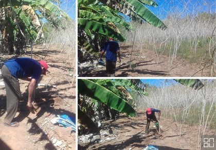 Sustentabilidade economica e ambiental