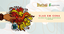 Ifestival 2026 (1) (1).png