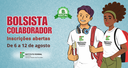 Bolsista colaborador 