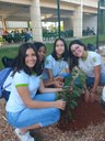 Estudantes realizaram plantio de mudas