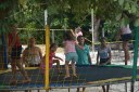 Confraternização