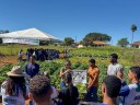 Aula Prática de Manejo de Sistemas Agrícolas