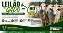 banner-leilao-gado-araguatins-ifto.png