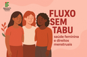 fluxo_sem_tabu_ifto.png