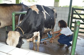 setor-produtivo-ifto-araguatins-zootecnia.JPG