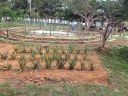 Áreas externas